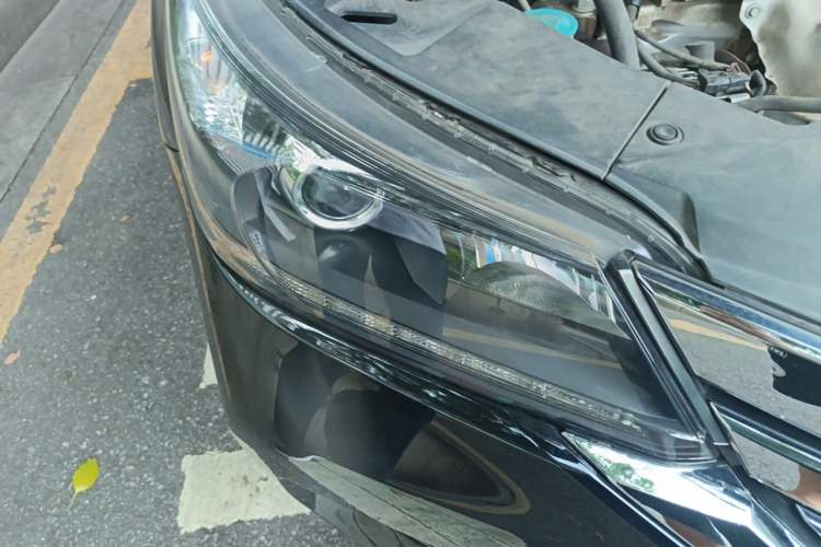 Used Honda Accord 2015 2.0L LXS Elite Edition Right Front Headlight