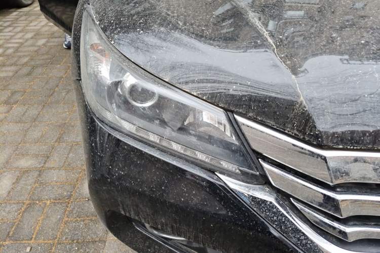 Used Honda Accord 2015 2.0L LX Comfort Edition Right Front Headlight