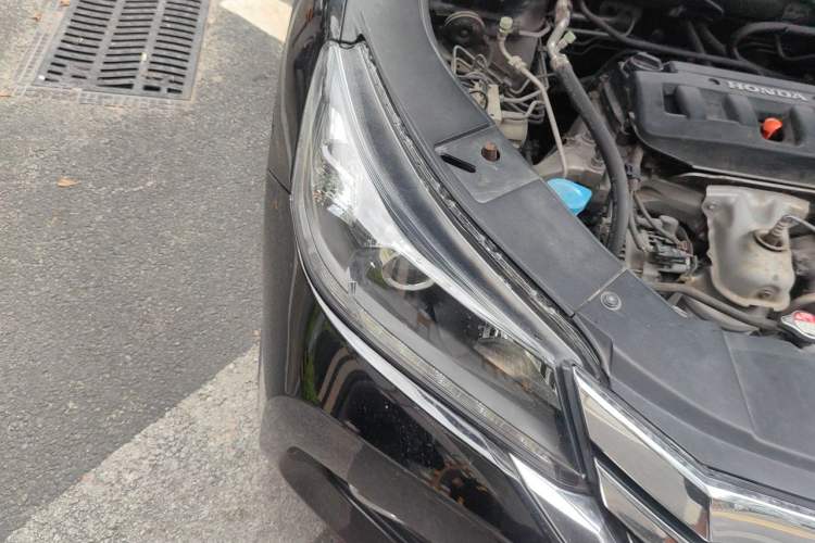 Used Honda Accord 2015 2.0L EX Luxury Edition Right Front Headlight