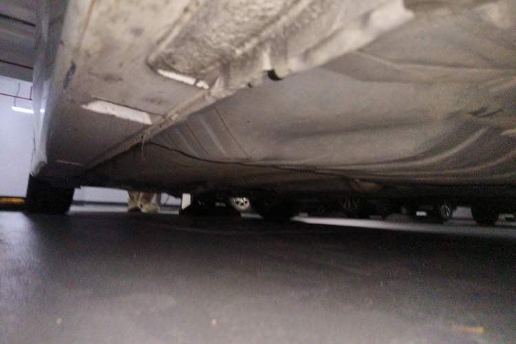 Used Honda Accord 2015 2.0L LX Comfort Edition Chassis Front Right