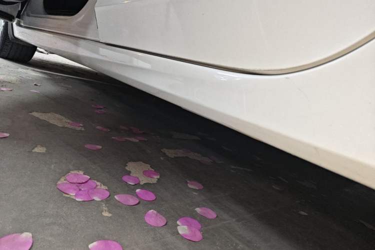 Used Honda Accord 2015 2.0L LX Comfort Edition Left Side Sill