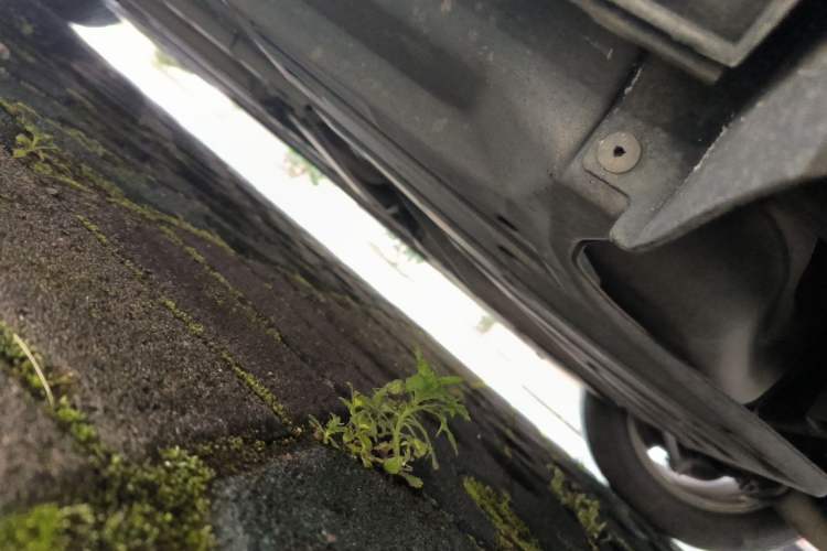 Used Honda Accord 2016 2.0L Elite Edition Chassis Rear Left