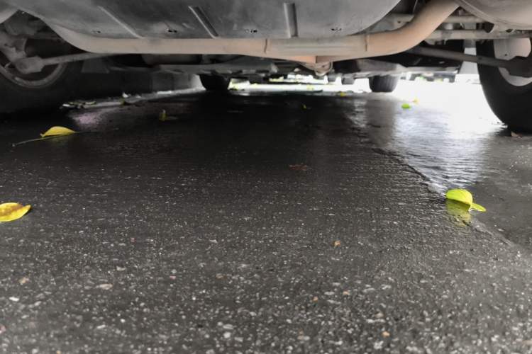 Used Honda Accord 2016 2.0L Elite Edition Chassis Rear