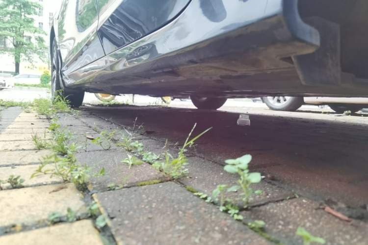 Used Honda Accord 2016 2.0L Elite Edition Left Side Sill