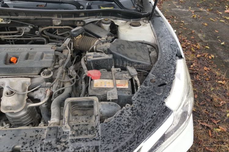 Used Honda Accord 2016 2.0L Comfort Edition Engine Bay Left