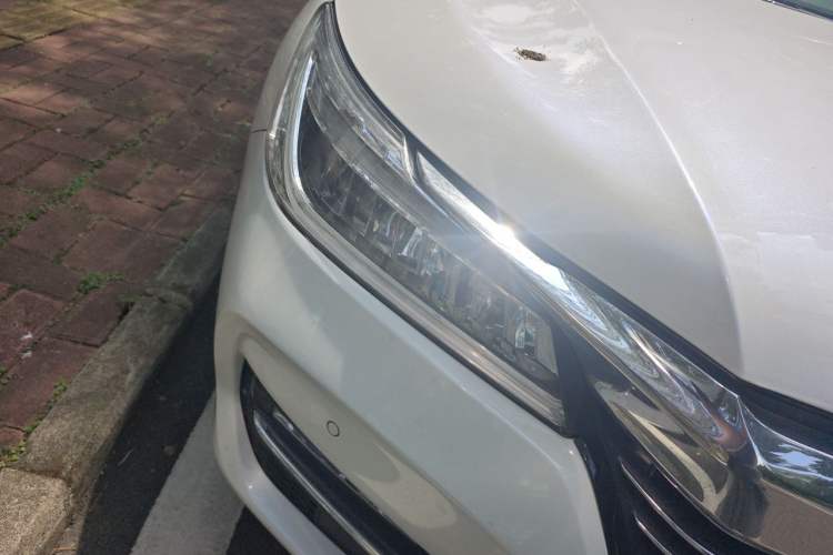 Used Honda Accord 2016 2.4L Prestige Edition Right Front Headlight