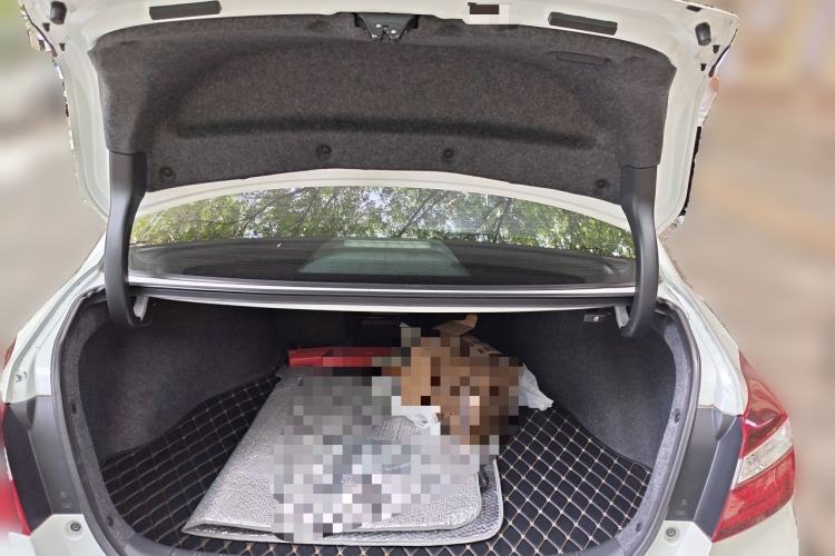 Used Honda Accord 2016 2.4L Comfort Edition Trunk