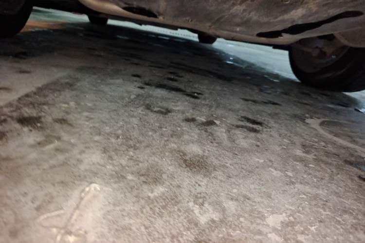 Used Honda Accord 2016 2.0L Comfort Edition Chassis Rear