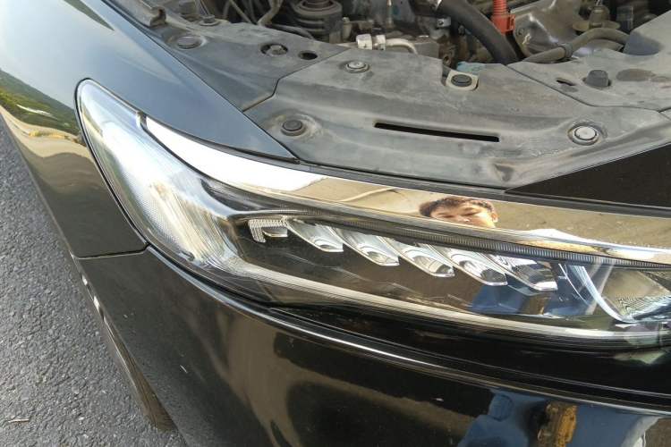 Used Honda Accord 2018 Rui Hybrid 2.0L Rui Ling Edition China VI Right Front Headlight