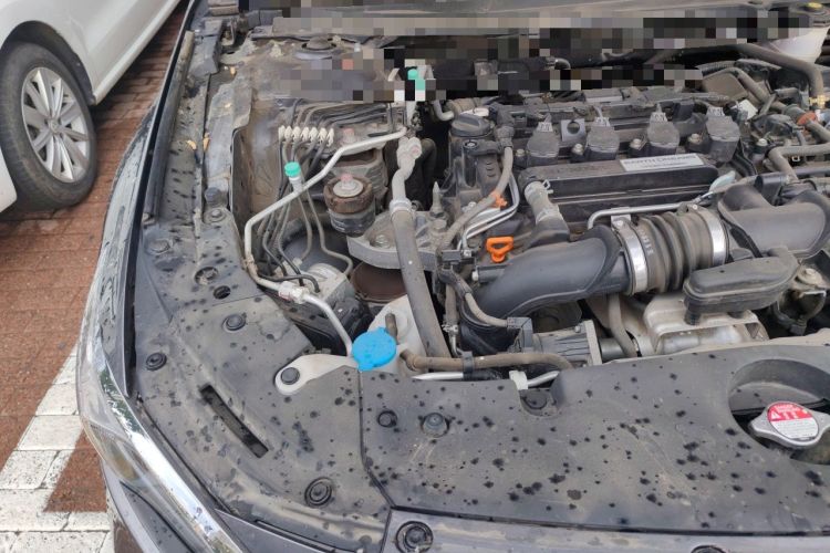Used Honda Accord 2018 260TURBO Luxury Edition China VI Engine Bay Right