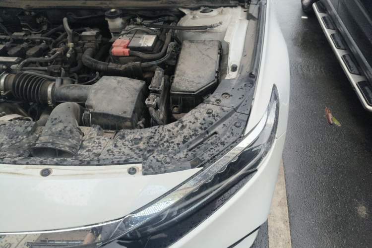 Used Honda Accord 2018 260TURBO Luxury Edition China VI Engine Bay Left