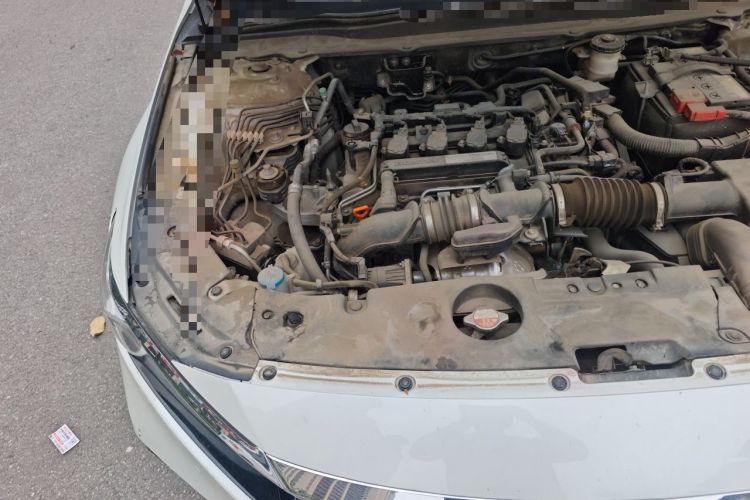 Used Honda Accord 2018 260TURBO Elite Edition China VI Engine Bay Right