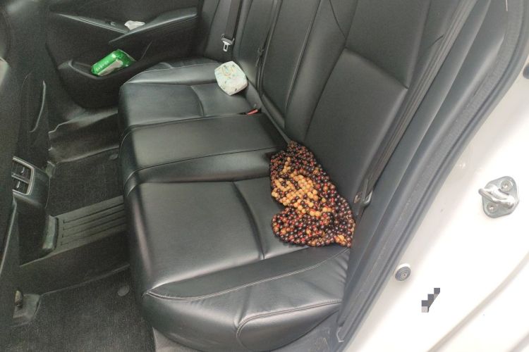 Used Honda Accord 2018 260TURBO Elite Edition China V Left Rear Seat