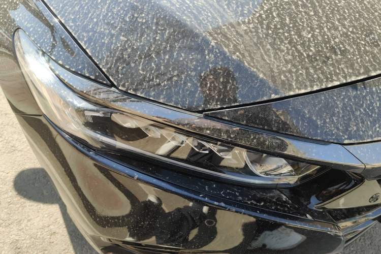Used Honda Accord 2021 260TURBO Luxury Starry Sky Limited Edition Right Front Headlight