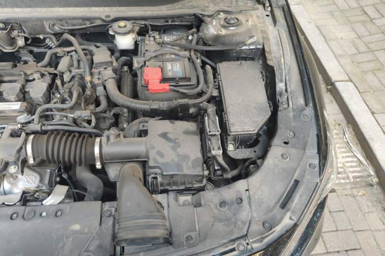 Used Honda Accord 2022 260TURBO Luxury Edition Engine Bay Left
