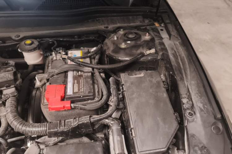 Used Honda Accord 2022 260TURBO Luxury Edition Engine Bay Left