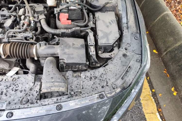 Used Honda Accord 2022 260TURBO Phantom Night Flagship Edition Engine Bay Left