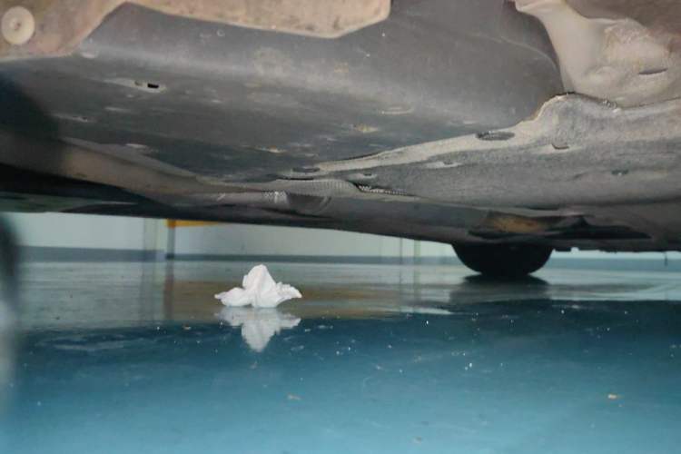 Used Honda Accord 2022 260TURBO Luxury Edition Chassis Rear Right