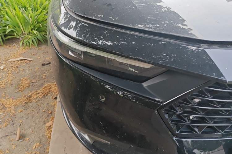 Used Honda Accord 2023 260TURBO Excellence Edition Right Front Headlight