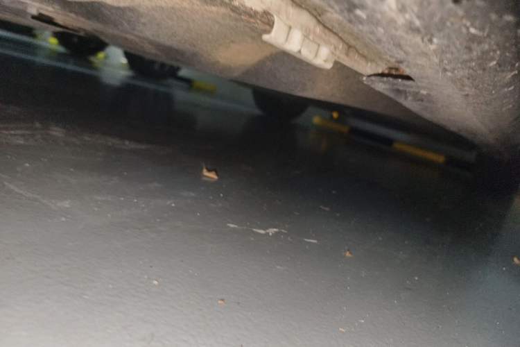 Used Honda Accord 2023 260TURBO Excellence Edition Chassis Front Left