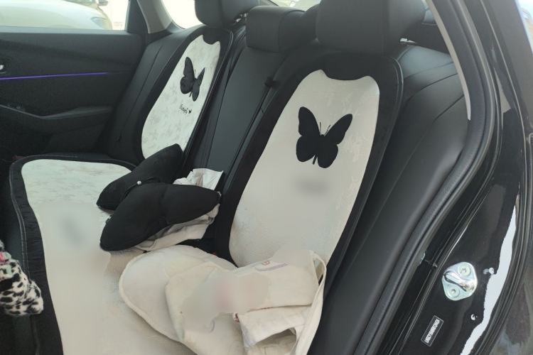 Used Honda Accord 2024 260TURBO Luxury Edition Left Rear Seat