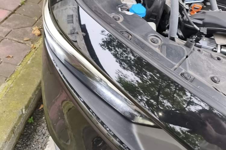 Used Honda Accord 2024 260TURBO Luxury Edition Right Front Headlight