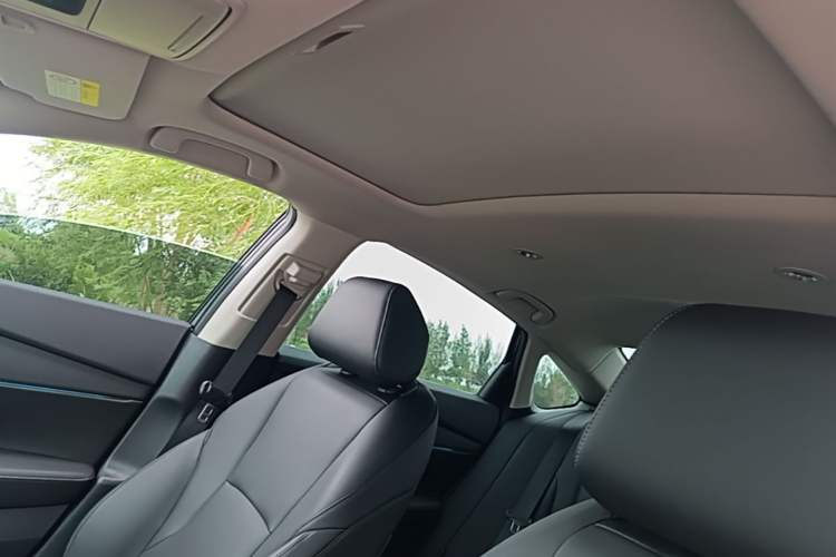 Used Honda Accord 2024 260TURBO Luxury Edition Headliner