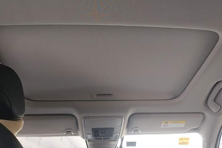 Used Honda Accord 2024 260TURBO Luxury Edition Headliner