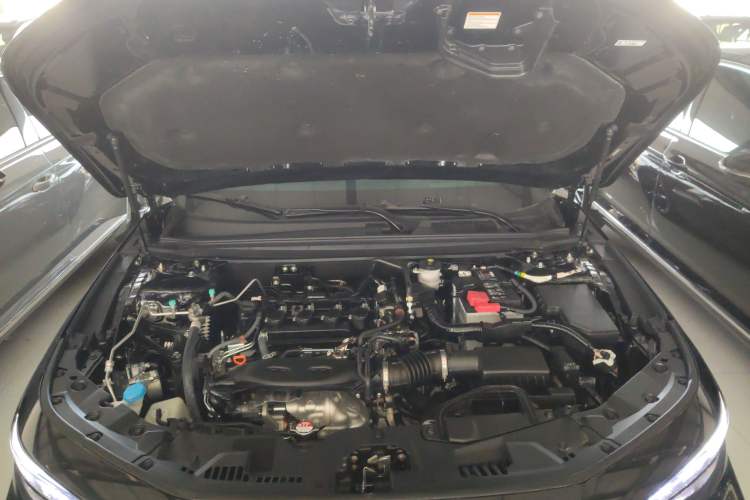 Used Honda Accord 2025 Sport Series 260TURBO Luxury Edition Engine Bay
