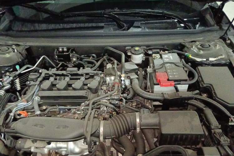 Used Honda Accord 2025 260TURBO Luxury Edition Engine Bay