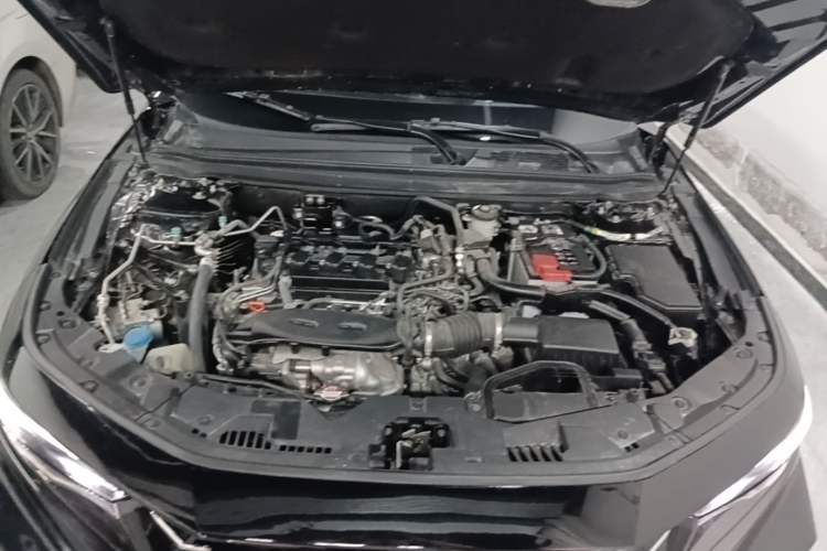 Used Honda Accord 2025 Sport Series 260TURBO Luxury Edition Engine Bay