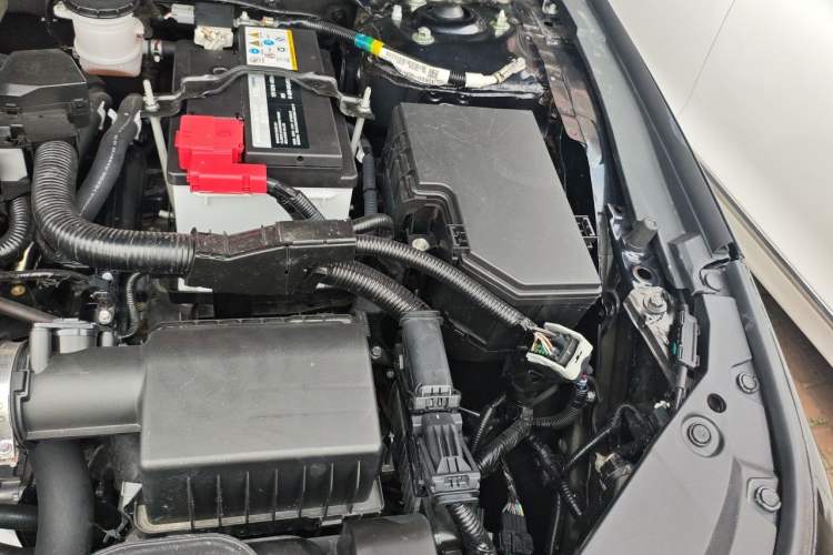 Used Honda Accord 2025 Sport Series 260TURBO Luxury Edition Engine Bay Left