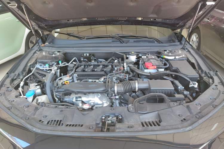 Used Honda Accord 2025 Sport Series 260TURBO Luxury Edition Engine Bay