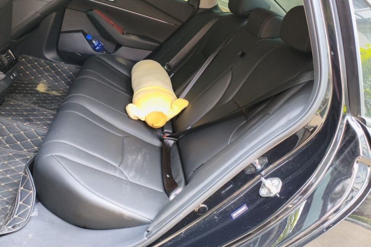 Used Honda Accord 2025 260TURBO Luxury Edition Left Rear Seat