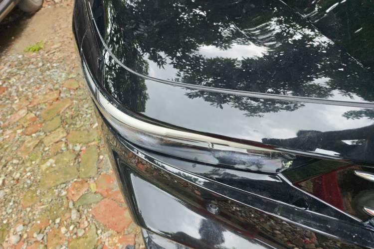Used Honda Accord 2025 Sport Series 260TURBO Prestige Edition Right Front Headlight