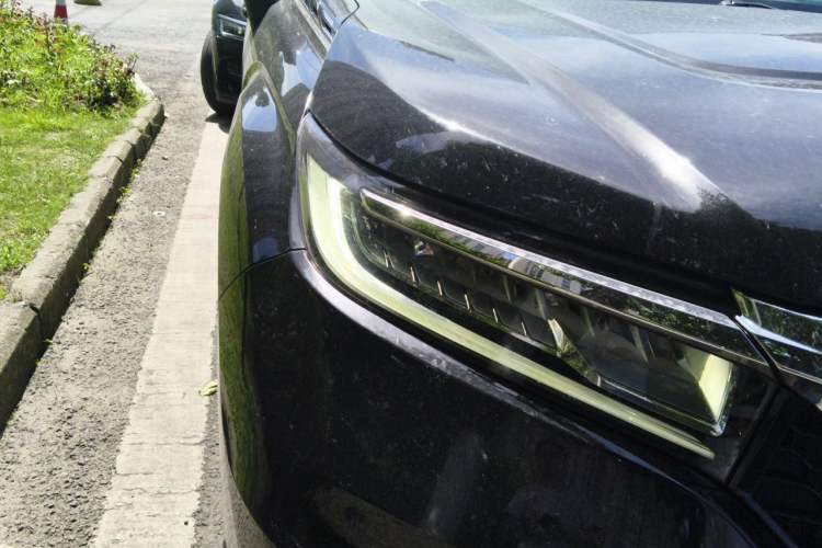 Used Honda Avancier 2017 240TURBO Two-Wheel Drive Premium Edition Right Front Headlight