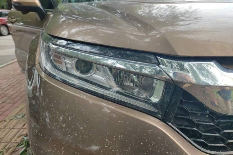 Used Honda Avancier 2017 240TURBO Two-Wheel Drive Premium Edition Right Front Headlight