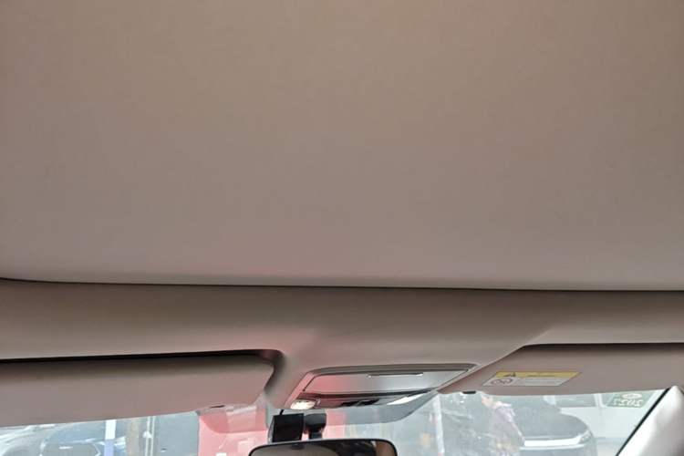 Used Honda Avancier 2017 240TURBO Two-Wheel Drive Luxury Edition Headliner