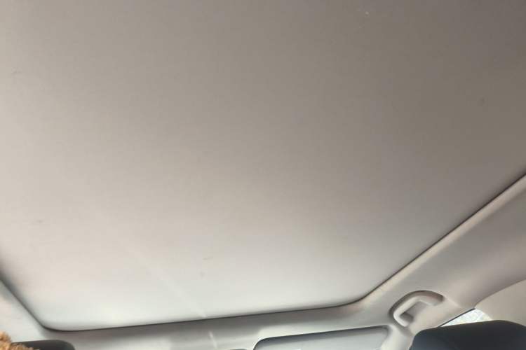 Used Honda Avancier 2017 240TURBO Two-Wheel Drive Comfort Version Headliner