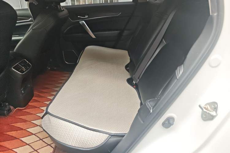 Used Honda Avancier 2017 240TURBO Two-Wheel Drive Elite Edition Left Rear Seat