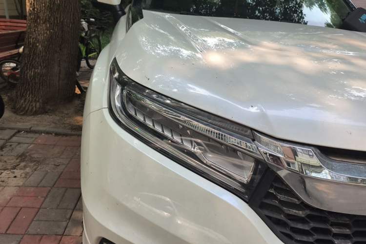 Used Honda Avancier 2017 240TURBO Two-Wheel Drive Luxury Edition Right Front Headlight