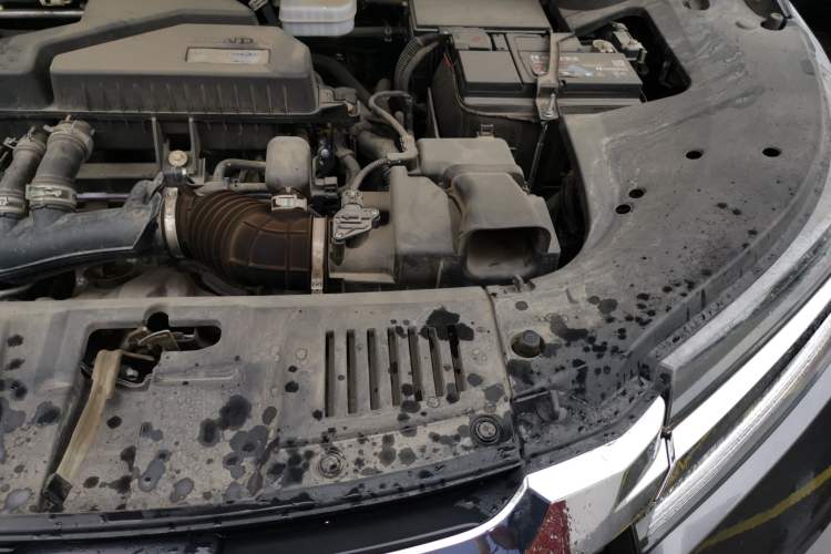 Used Honda Avancier 2019 240TURBO Two-Wheel Drive Comfort Version Engine Bay Left