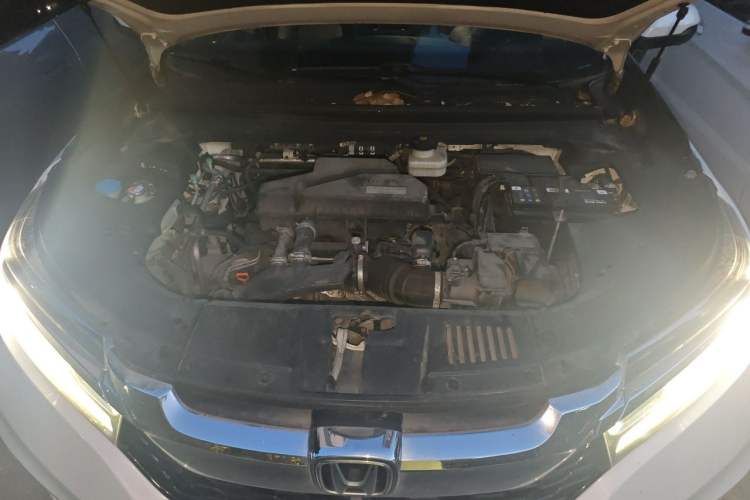 Used Honda Avancier 2019 240TURBO Two-Wheel Drive Luxury Edition Engine Bay