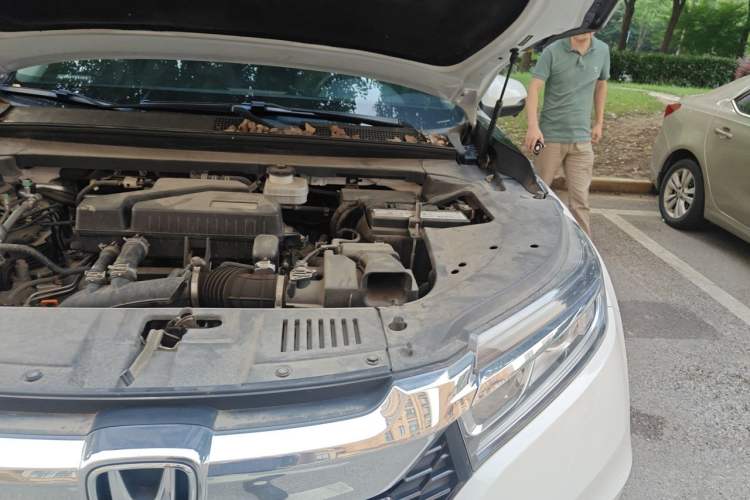 Used Honda Avancier 2019 240TURBO Two-Wheel Drive Comfort Version Engine Bay Left