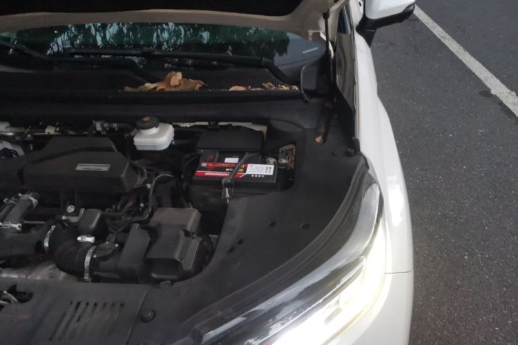 Used Honda Avancier 2019 240TURBO Two-Wheel Drive Comfort Version Engine Bay Left