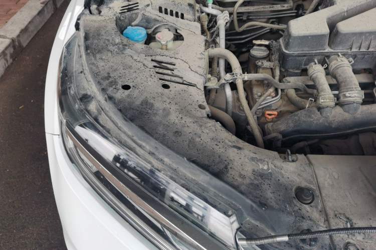 Used Honda Avancier 2019 240TURBO Two-Wheel Drive Elite Edition Engine Bay Right