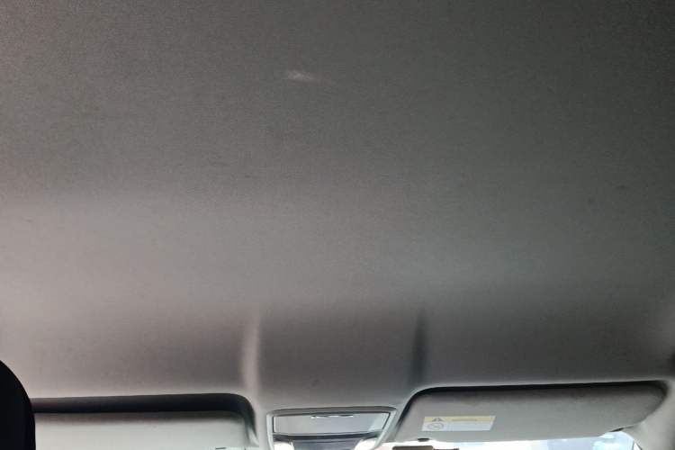 Used Honda Avancier 2019 240TURBO Two-Wheel Drive Elite Edition Headliner