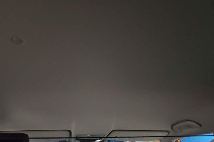 Used Honda Avancier 2019 240TURBO Two-Wheel Drive Elite Edition Headliner