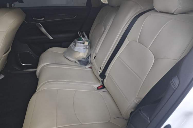 Used Honda Avancier 2019 240TURBO Two-Wheel Drive Elite Edition Left Rear Seat