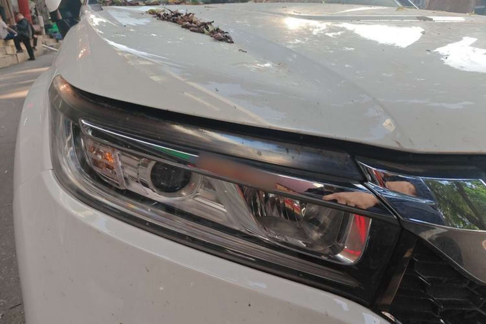 Used Honda Avancier 2019 240TURBO Two-Wheel Drive Comfort Version Right Front Headlight